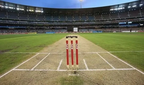 Cricket Pitch